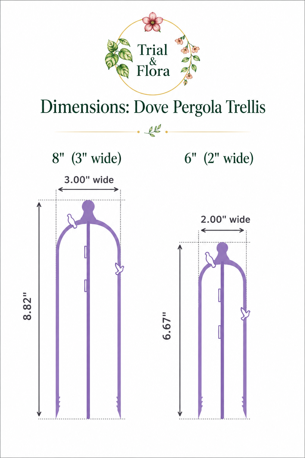 Dove Pergola Trellis Set - Purple Haze