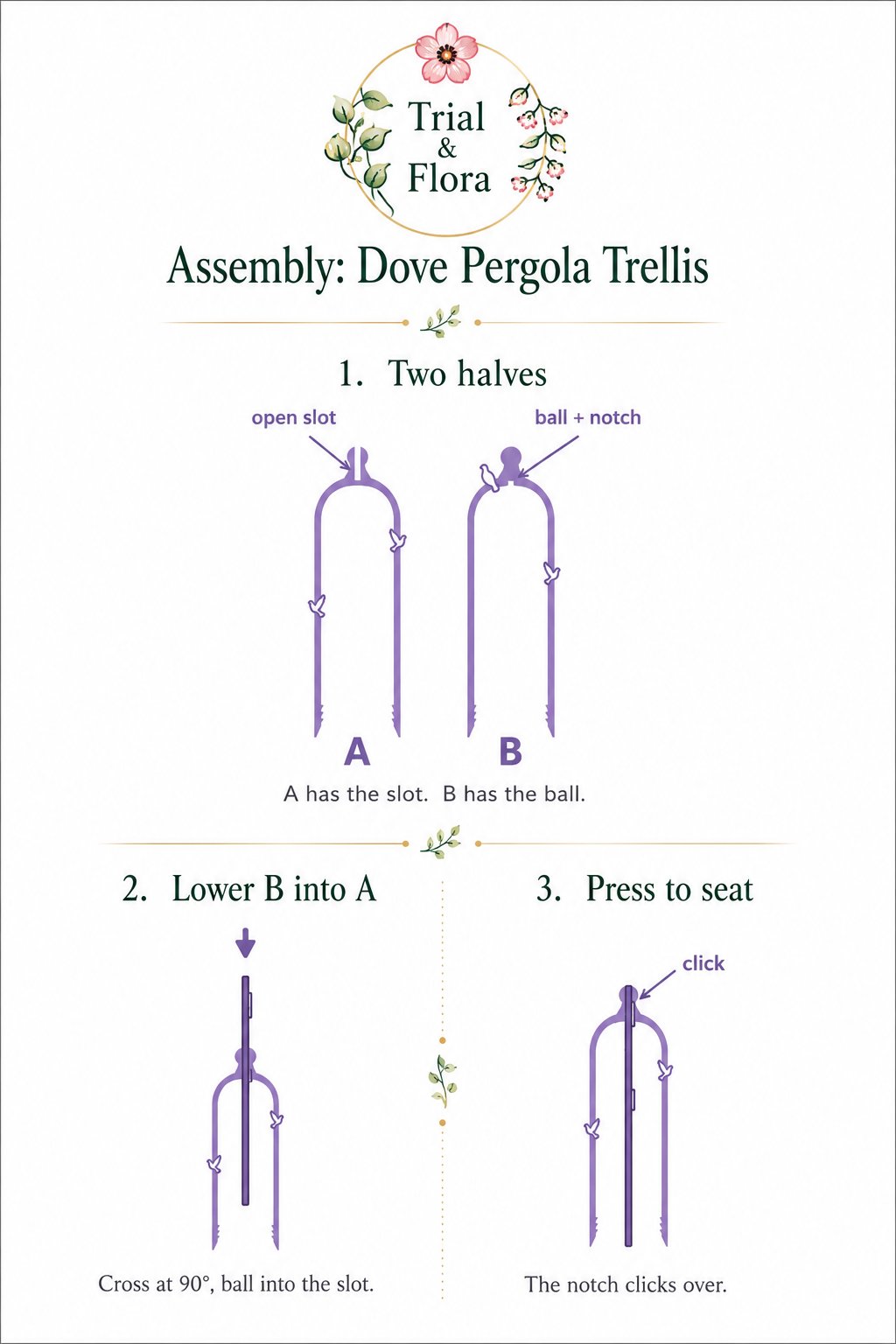 Dove Pergola Trellis Set - Purple Haze
