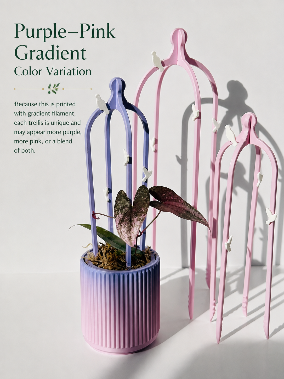 Dove Pergola Trellis Set - Purple Haze