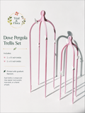 Dove Pergola Trellis Set - Purple Haze