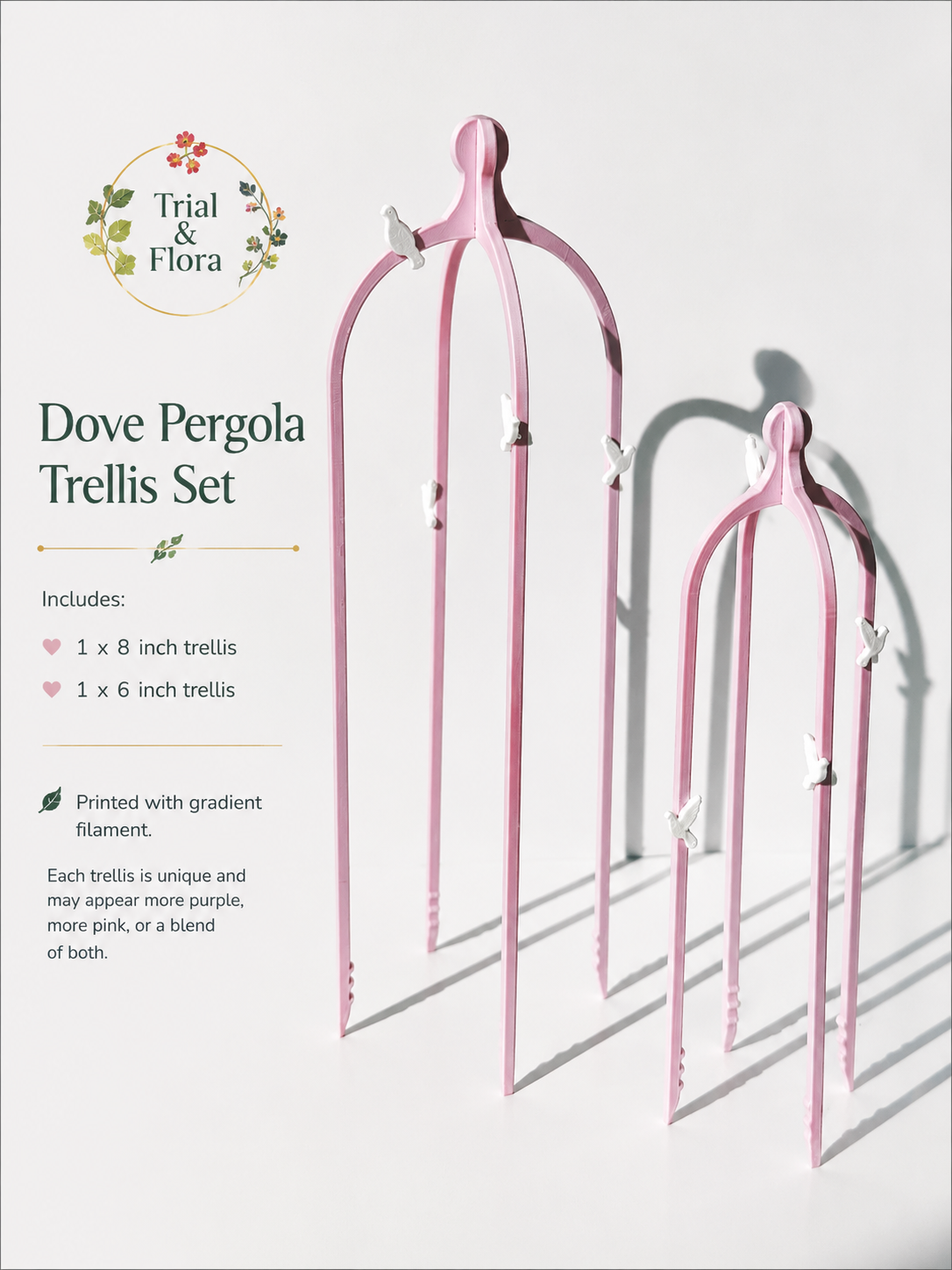 Dove Pergola Trellis Set - Purple Haze