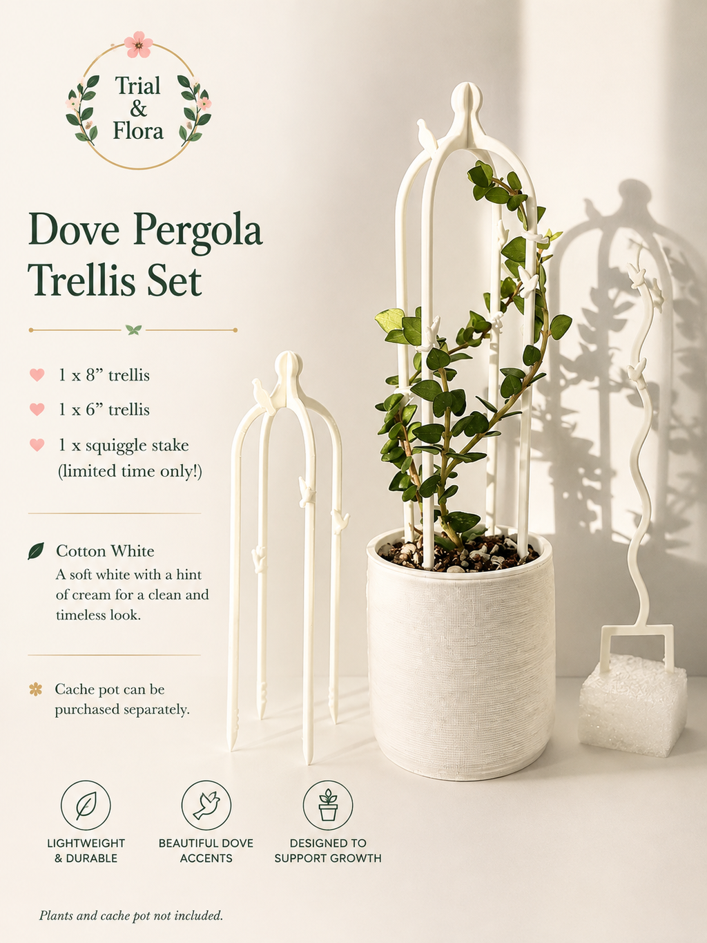 Dove Pergola Trellis 🕊️